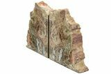 Tall, Petrified Wood Bookends with Fungal Rot - Arizona #233271-1